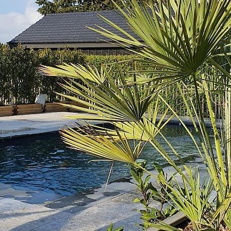 Pine Cottage- 5 Minutes Francorchamps - Charme -Piscine-Calme-Jardin Sart  Esterno foto