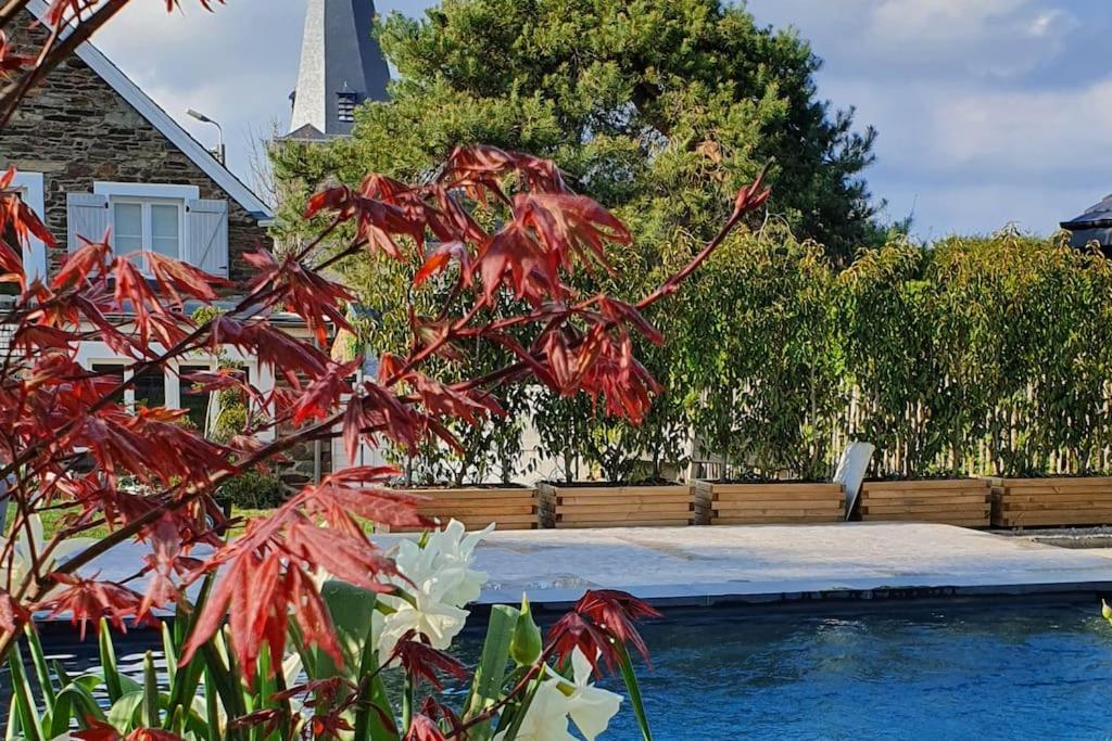Pine Cottage- 5 Minutes Francorchamps - Charme -Piscine-Calme-Jardin Sart  Esterno foto