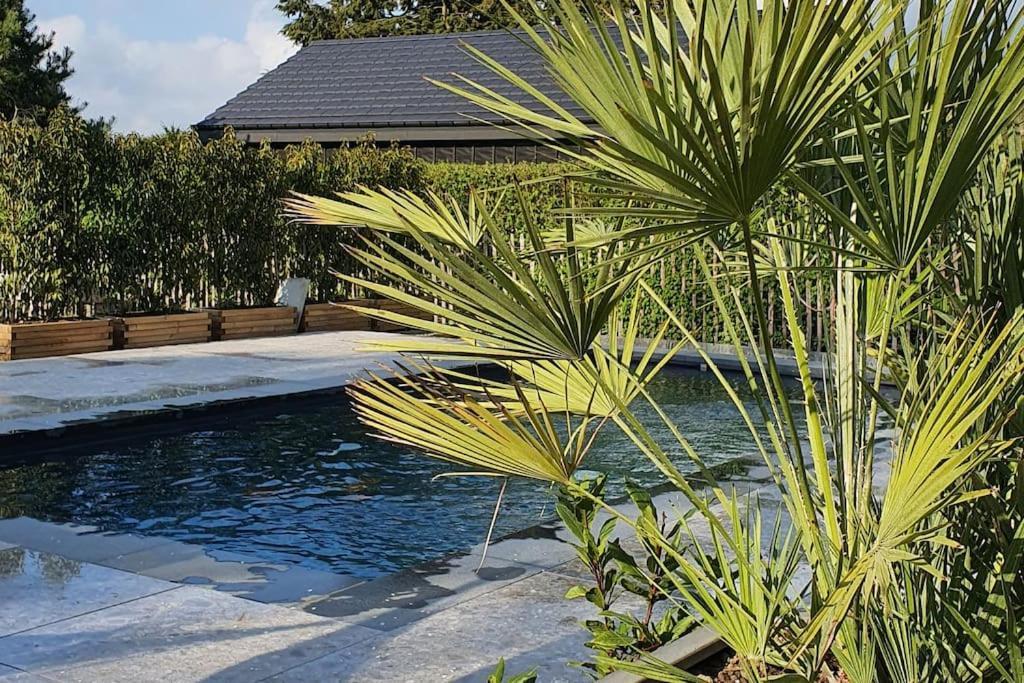 Pine Cottage- 5 Minutes Francorchamps - Charme -Piscine-Calme-Jardin Sart  Esterno foto