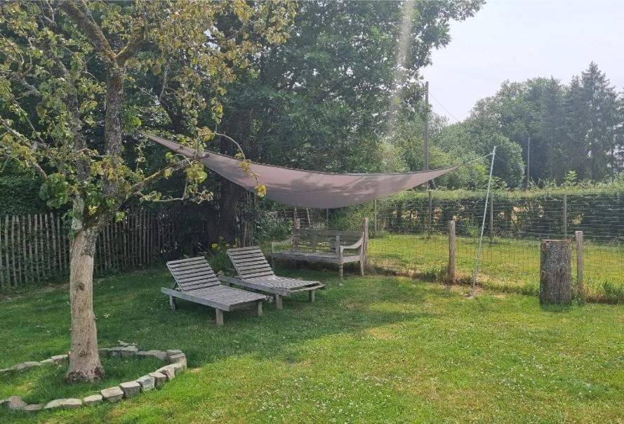 Pine Cottage- 5 Minutes Francorchamps - Charme -Piscine-Calme-Jardin Sart  Esterno foto